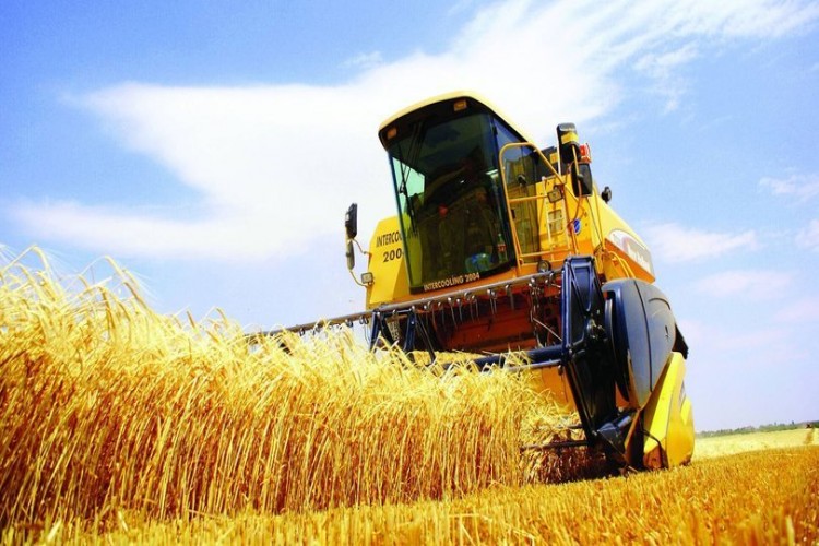 KNK Tarım Agriculture-PPI Breaks Record in March görseli