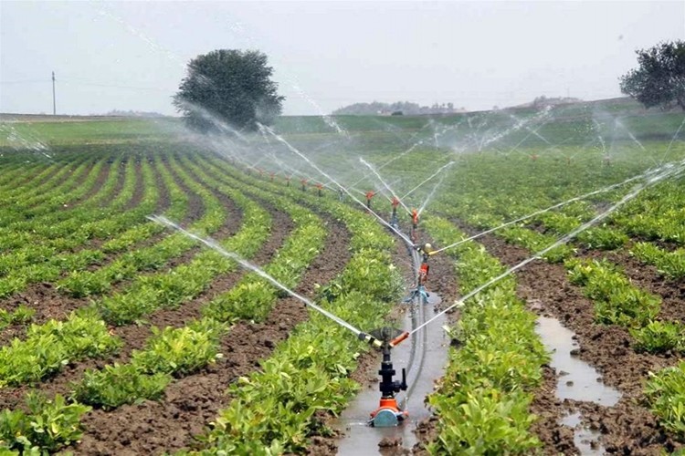 KNK Tarım Agricultural Employment for 3.8 Million People in GAP görseli